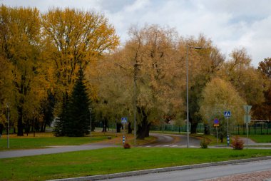 Parkta renkli sonbahar ağaçları