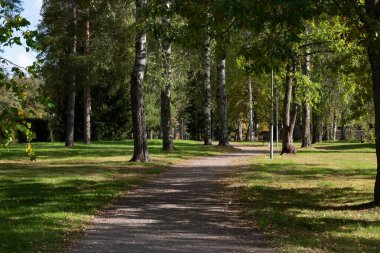 Sonbaharda parkta bir patika