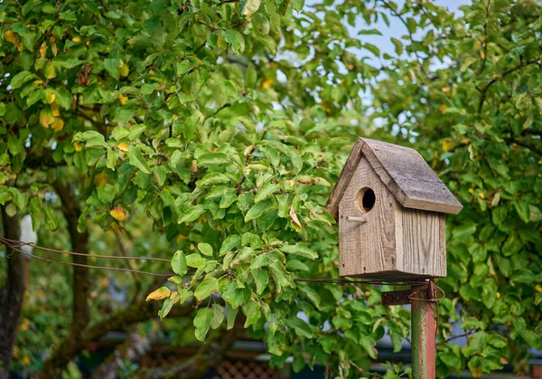 Houten Vogelhuisje Tuin Bij Appelboom — Stockfoto