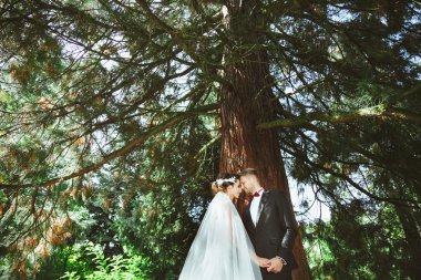 Damat ve gelin ağacının altında