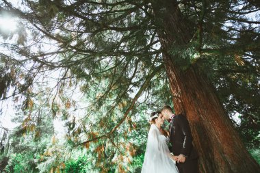 damat ve gelin ağacının altında