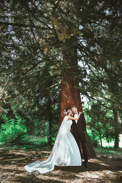 Vdává stojí v borovicovém lese — Stock fotografie