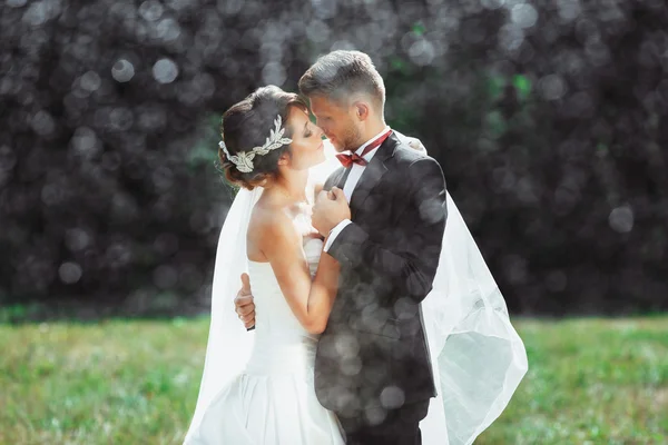 Bruden och brudgummen embracing under regn — Stockfoto