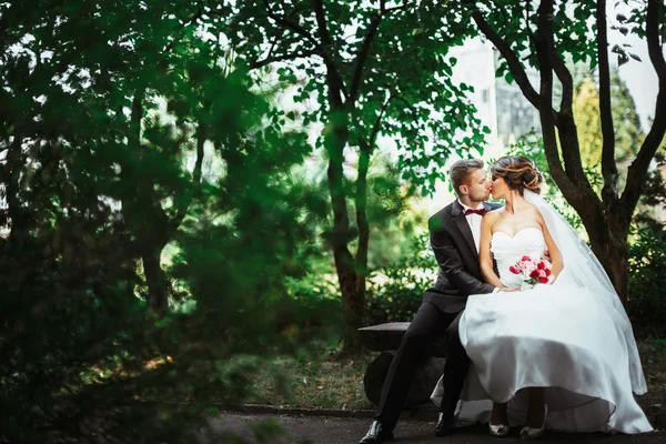 Sposa e sposo baciare nel parco — Foto Stock