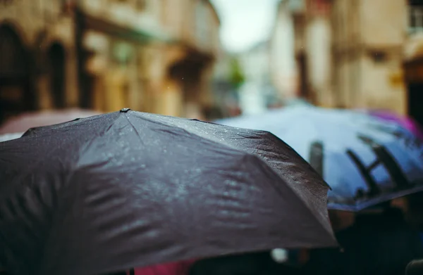 Several umbrellas on street — Stock Photo, Image