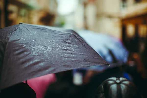 Парасолька з краплями дощу — стокове фото