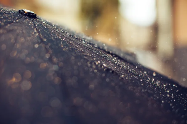 Paraply med regndroppar — Stockfoto