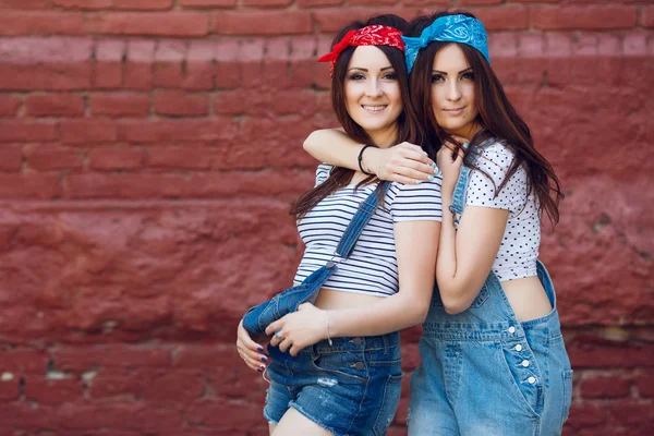 Gêmeos jovens meninas, abraçando — Fotografia de Stock