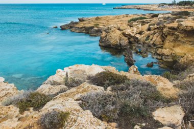 Mavi denizli tropik plaj