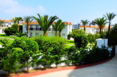 Yeşil bitkiler ile egzotik Bahçe