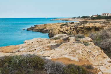 Mavi denizli tropik plaj