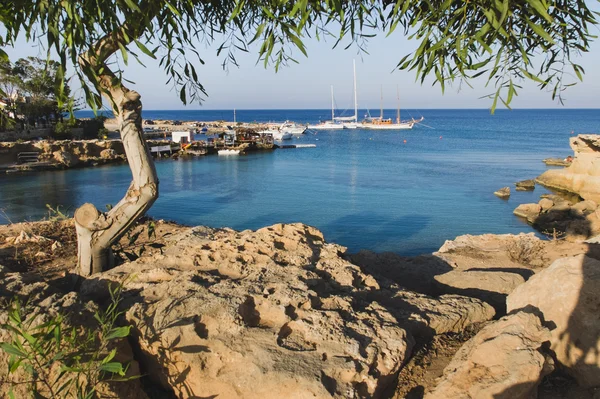 Spiaggia tropicale con mare blu — Foto Stock