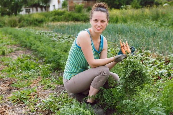 Young woman collecting carrots