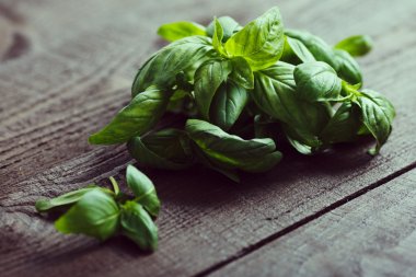 Green basil on wood background clipart