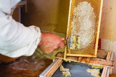 Özel ekipman ile arıcı