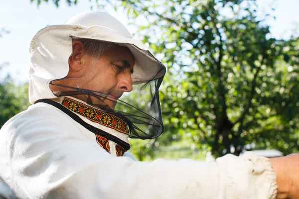 Apiarist bedrijf frame van honingraat — Stockfoto