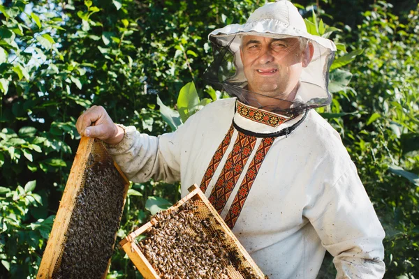 Apiarist tient deux cadres en nid d'abeille — Photo