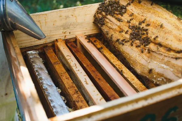 Beehive med olika ramar av honeycomb — Stockfoto