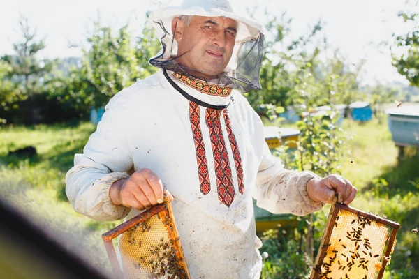 Apiarista está segurando dois quadros de favo de mel — Fotografia de Stock