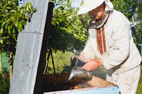 Apiarista fazendo inspeção em apiário — Fotografia de Stock