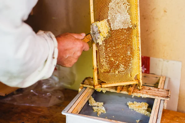 养蜂人与专用设备 — 图库照片
