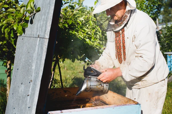 Apiarist fare ispezione in apiario — Foto Stock