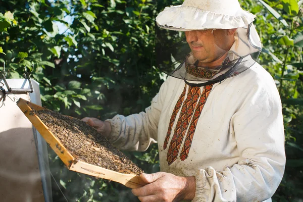 ハニカムの養蜂家保持フレーム — ストック写真