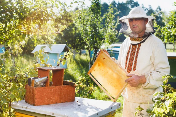 Apiarista segurando quadro de favo de mel — Fotografia de Stock