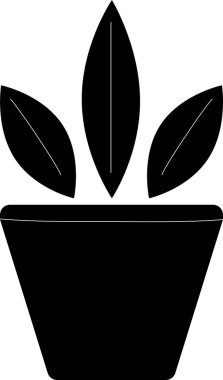  saksıda büyüyen çiçek