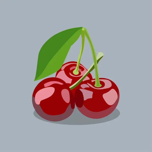 Bayas Cereza Negra Dulce Naturaleza Fresca — Vector de stock