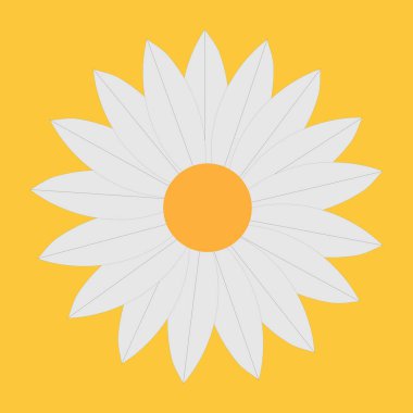 Papatya renkli botanik sanatı izole edildi 