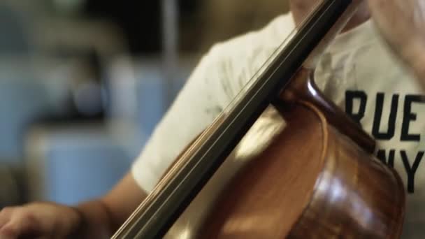 Člověk hraje violoncello — Stock video