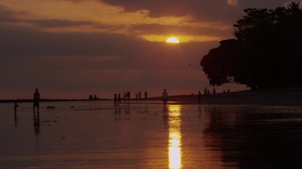 Les gens qui jouent dehors la nuit — Video