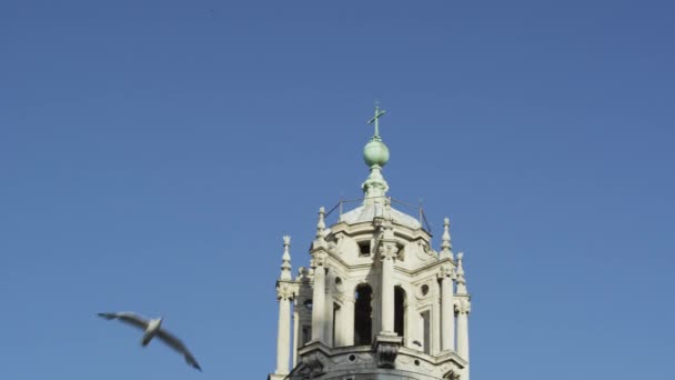 Madár repül templom torony közelében — Stock videók
