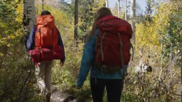 Par vandring på skog spår — Stockvideo