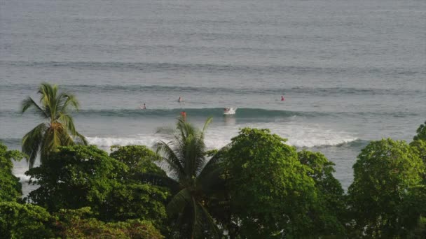 Gente surfeando en la playa de Esterillos — Vídeos de Stock