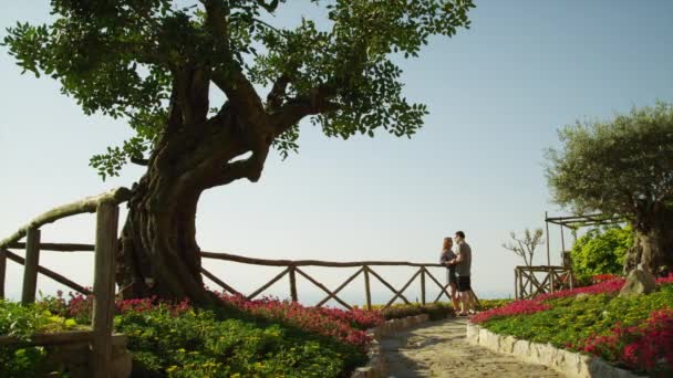 Couple kissing by balustrade — Stock Video