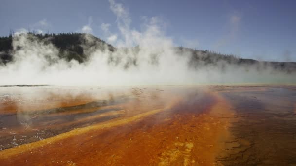 Gőz emelkedik Grand Prismatic Tavasz — Stock videók