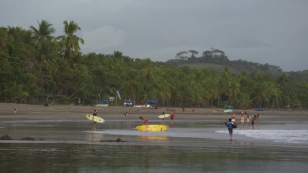 Människor på stranden bär surfbrädor — Stockvideo