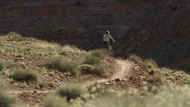 Perro corriendo con bicicleta de montaña — Vídeos de Stock