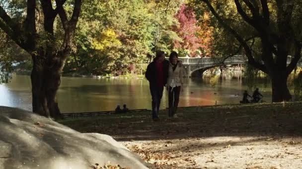 Couple d'âge mûr marchant à travers Central Park — Video