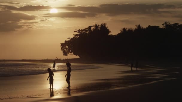 Jungen watet bei Sonnenuntergang am Strand — Stockvideo