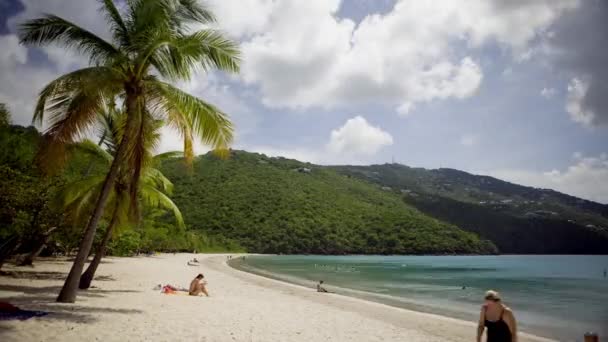 Люди розслабляються на пляжі — стокове відео