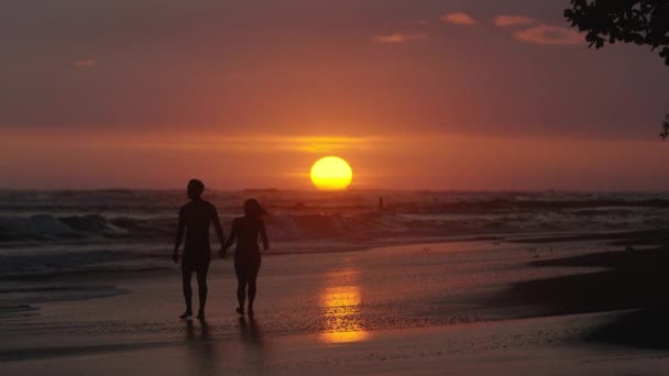 Casal caminhando na praia ao pôr do sol — Vídeo de Stock