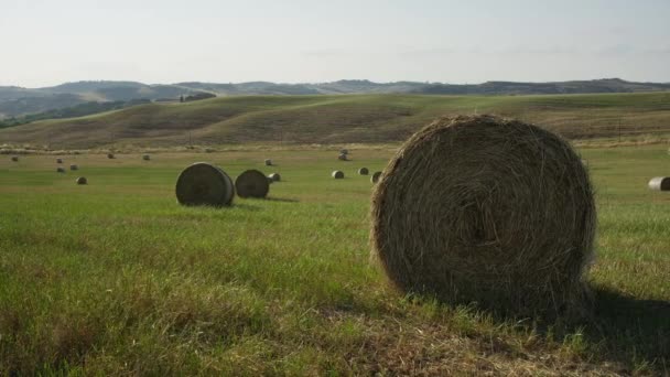 Fardos de feno no campo de cultivo rural — Vídeo de Stock