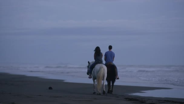 Pareja a caballo en la playa — Vídeo de stock