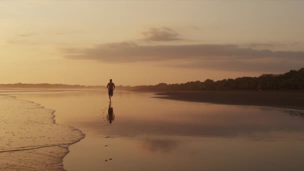 Hombre corriendo en la playa al atardecer — Vídeo de stock