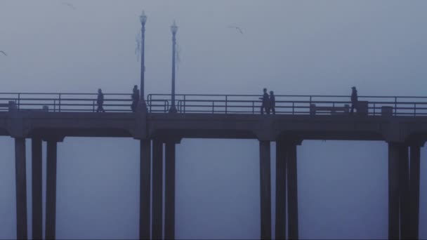 People on pier over sea at dusk — Stock Video