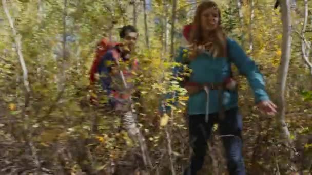 Casal caminhadas na trilha florestal — Vídeo de Stock