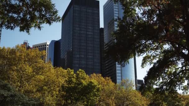 Ουρανοξύστες του Μανχάταν με κέντρο πάρκο δέντρα — Αρχείο Βίντεο